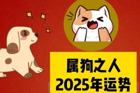 属狗今年运势2025年运势如何 2025属狗人最旺的颜色