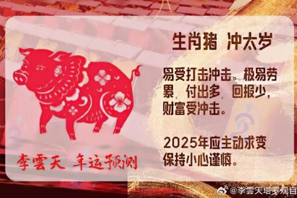 2025年属猪人全年运势详解1995年出生者必看 2025年属猪人全年运势详解1995年出生者必看