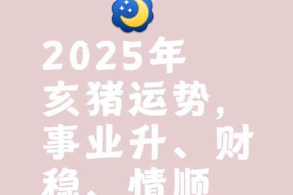 2025年属猪2007年生的全年运程_2007的猪在2025的学业