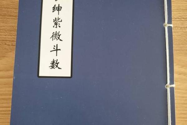 夫妻宫巨门化权揭秘婚姻运势与权力格局