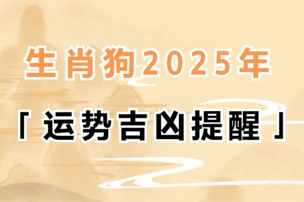 2025年属狗人全年运势详解事业财运感情全解析 2025年属狗人全年运势详解事业财运感情全解析