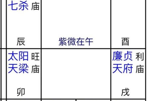 2025年3月21日寅时男命紫微斗数全解盘 2025年3月21日寅时男命紫微斗数全解盘