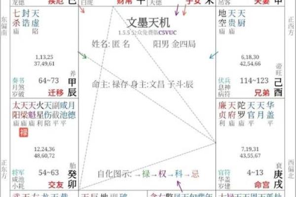 财帛宫紫微星旺 紫微在财帛宫女命