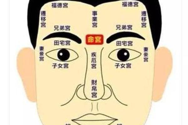 凤阁入夫妻宫 凤阁入夫妻宫揭秘婚姻宫位的神秘力量 凤阁入夫妻宫 凤阁入夫妻宫揭秘婚姻宫位的神秘力量