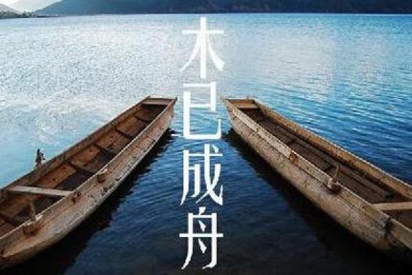 木已成舟指什么生肖(木已成舟上一句是什么)