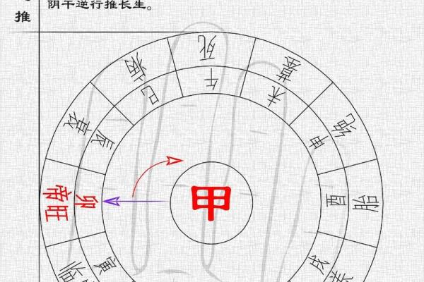 四柱八字十二长生如何推算_十二长生在四柱中的用法 四柱八字十二长生如何推算_十二长生在四柱中的用法
