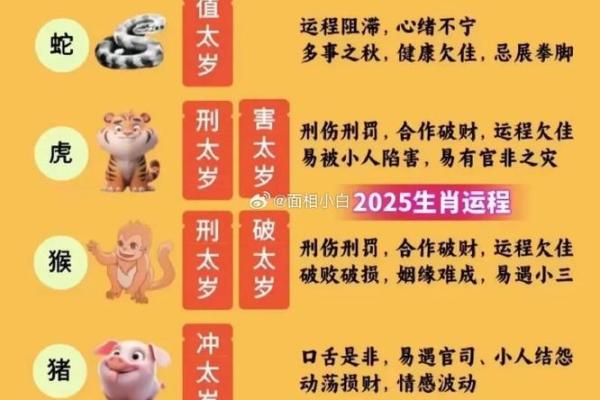 2025年属猪全年运势详解财运事业爱情全面解析 2025年属猪全年运势详解财运事业爱情全面解析