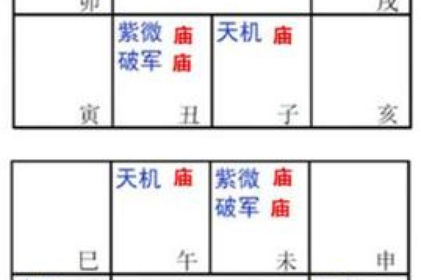 2025年3月3日子时女命紫微斗数全解盘