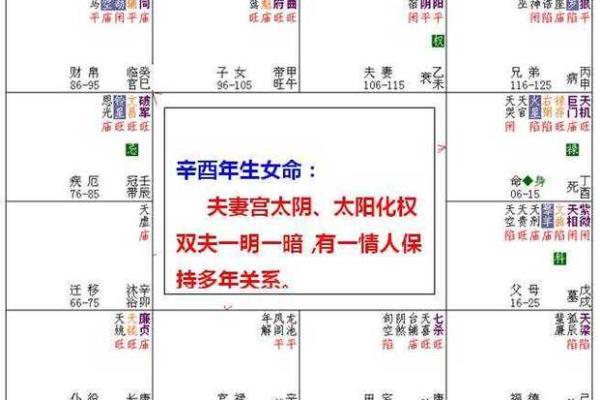 2025年2月26日子时女命紫微斗数全解盘 2025年2月26日子时女命紫微斗数全解盘