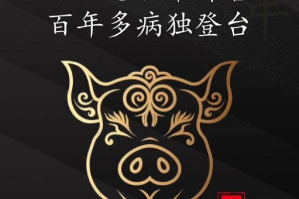 属猪的今年多大了2025年_属猪的今年多大了2025年出生