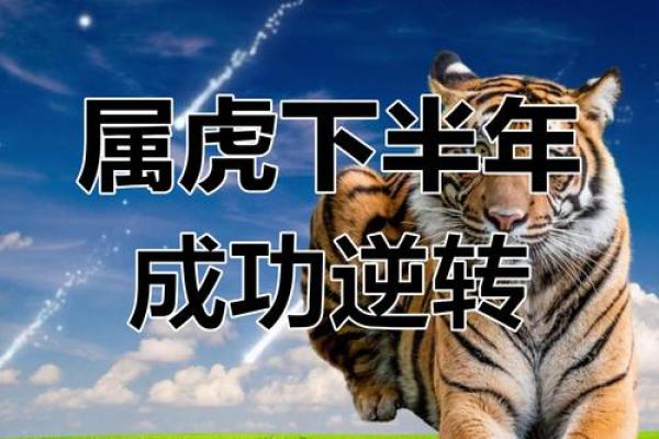 属虎人2020年下半年运势