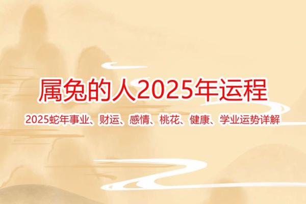 属兔人今年运势2025年运势_2025年属兔人运势解析全年运程大揭秘