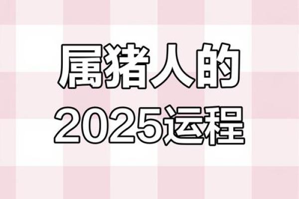 2025年属猪人年龄详解今年你多大