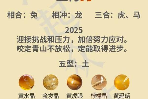 属狗的2025年结婚吉日一览表 属狗的2025年结婚吉日一览表