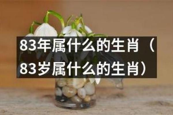 死气沉沉是什么生肖 死气沉沉是什么生肖