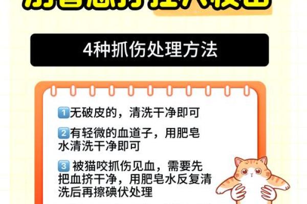 梦见被猫咬