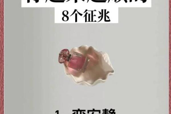 口无遮拦是什么生肖(口无遮拦的意思是什么生肖)