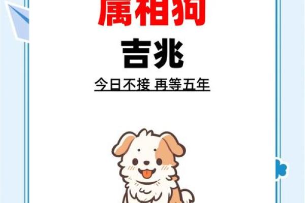 24年属狗人的全年运势_24年属狗人的全年运势及运程