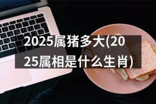 2025年属猪运势及运程_2025年属猪运势详解全年运程预测与吉凶分析 2025年属猪运势及运程_2025年属猪运势详解全年运程预测与吉凶分析