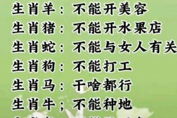 鸡和猪的孩子最好属什么_属鸡和属猪的生个属什么的宝宝好 鸡和猪的孩子最好属什么_属鸡和属猪的生个属什么的宝宝好