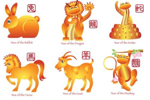 金花指什么生肖(金花指什么生肖正确答案)