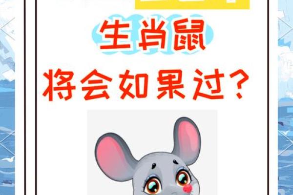 1996属鼠的今年运势如何