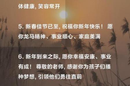 给老师的新年祝福语简短唯美