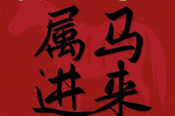78属马2024年每月运势完整版 78的马2025运气如何 78属马2024年每月运势完整版 78的马2025运气如何