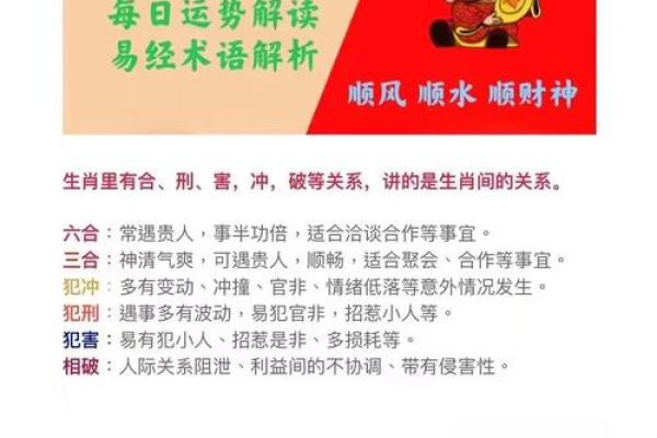 “二道贩子”打一准确生肖，二道贩子是什么生肖答案解释释义落实