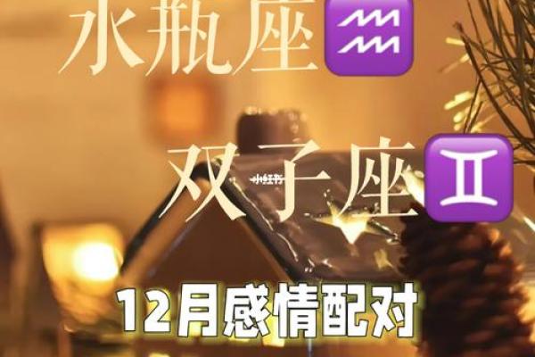 双子座水瓶座 双子座水瓶座