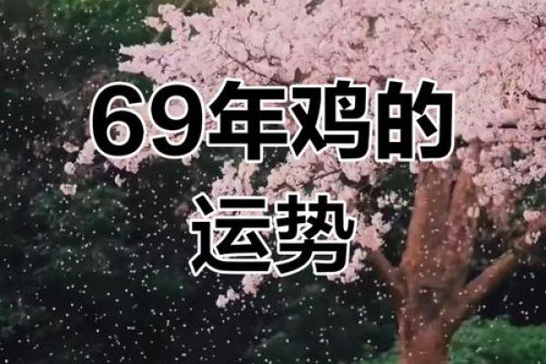 1969年属鸡人2025年运势 1969年属鸡人2025年运势详解财运事业健康全解析 1969年属鸡人2025年运势 1969年属鸡人2025年运势详解财运事业健康全解析