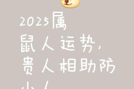 今天鼠人运势