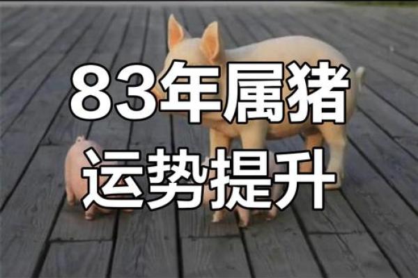 1983年属猪人2025全年运势_83年属猪的2025年运势怎么样 1983年属猪人2025全年运势_83年属猪的2025年运势怎么样