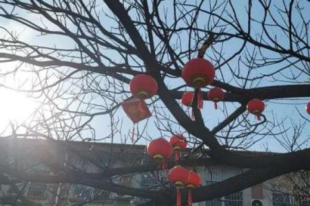 今天适宜动土吗(今天适宜动土吗)