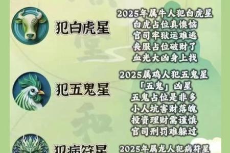 2025年太岁在哪个方向不能动土(2028年太岁位置)