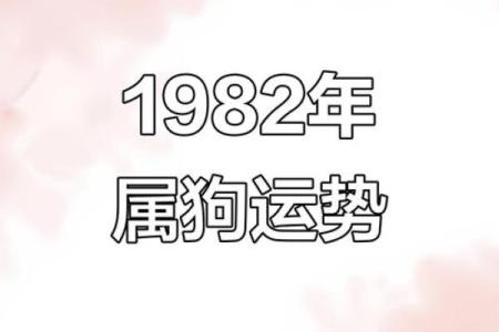 82年属狗2025年的运势及运程 2025年属狗运势解析82年出生者运程全揭秘