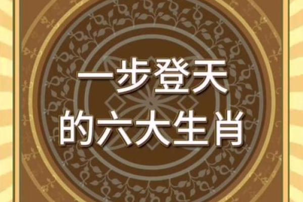 轻如鸿毛指什么生肖