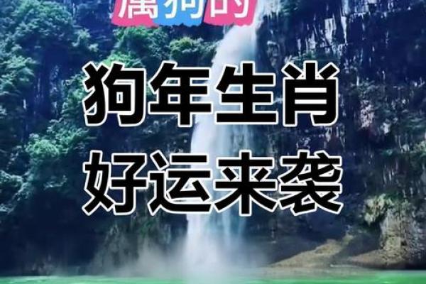 1982年属狗2025年每月运势完整版_1982年属狗2025年每月运势详解完整版