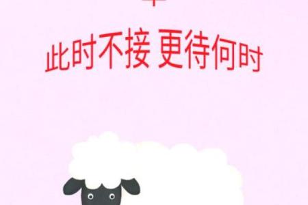 2025年生肖羊1979年运势详解与解析