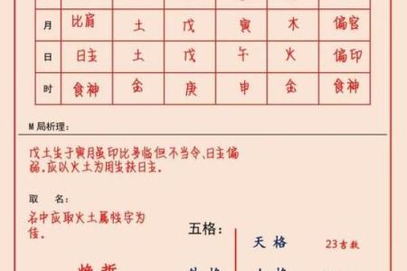 2019年6月24号子时出生的男孩要怎么起名字姓名