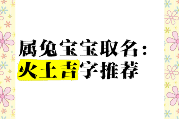 早上6点出生的属兔男孩如何取名姓名 早上6点出生的属兔男孩如何取名姓名