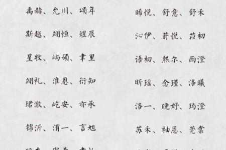 2019年5月15号子时出生的男孩要怎么起名字姓名