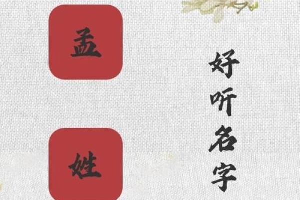 孟姓女孩名字大全-孟姓女孩起名字大全-孟姓名字大全姓名 孟姓女孩名字大全-孟姓女孩起名字大全-孟姓名字大全姓名