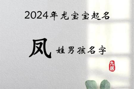 1月份出生的属鸡男孩起什么名字好姓名