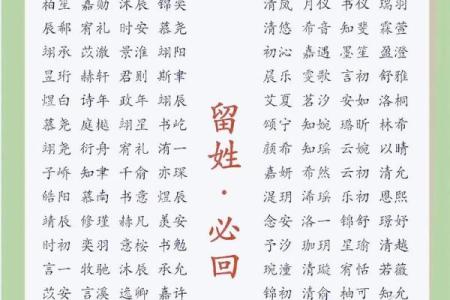 2019年3月27号未时出生的男孩应该起什么样的名字姓名