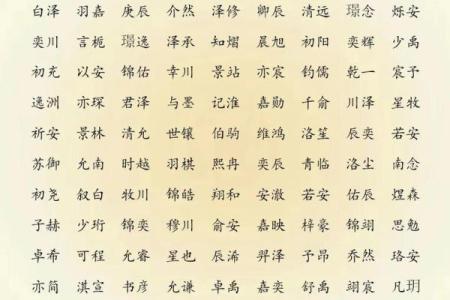 下午出生的属鸡男孩宜用什么字起名字姓名