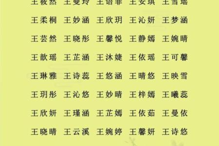 何姓女孩名字大全-何姓女孩起名字大全-何姓名字大全姓名