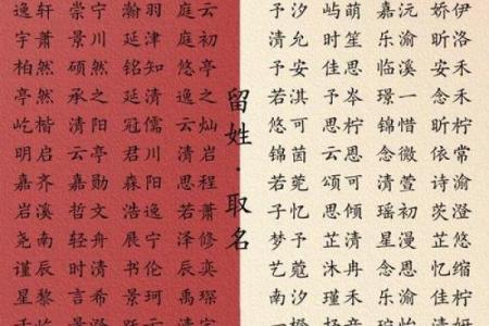 2019年4月30号子时出生的男孩要怎么起名字姓名