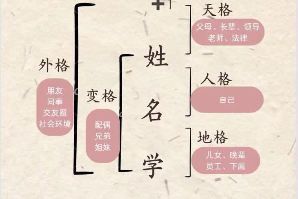 姓解的名人-姓名学-华易算命网姓名