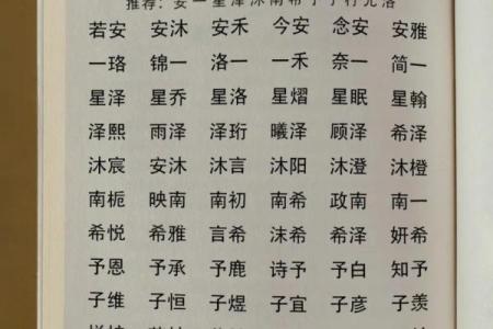 凌晨3点出生的属蛇男孩如何起名，宜用什么字姓名